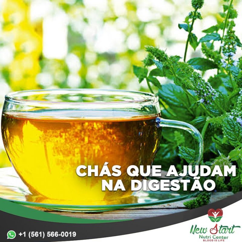Chás que ajudam na digestão - New Start Nutri Center