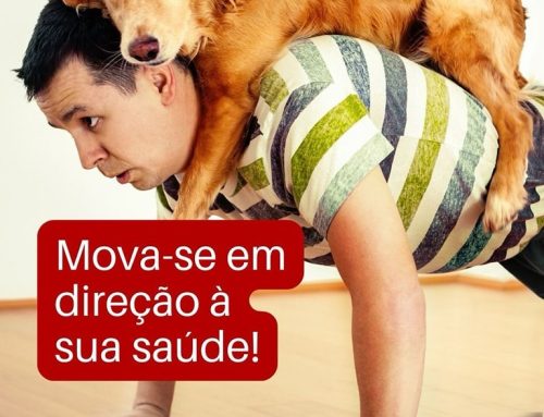 O movimento diário e o pilar da vida longa