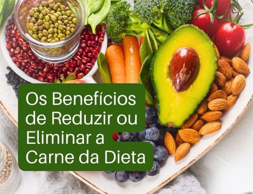 Benefícios de eliminar a carne da dieta